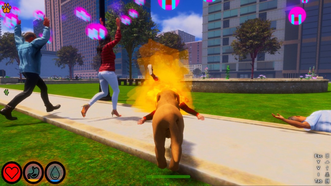 《Lost Paws》官方版