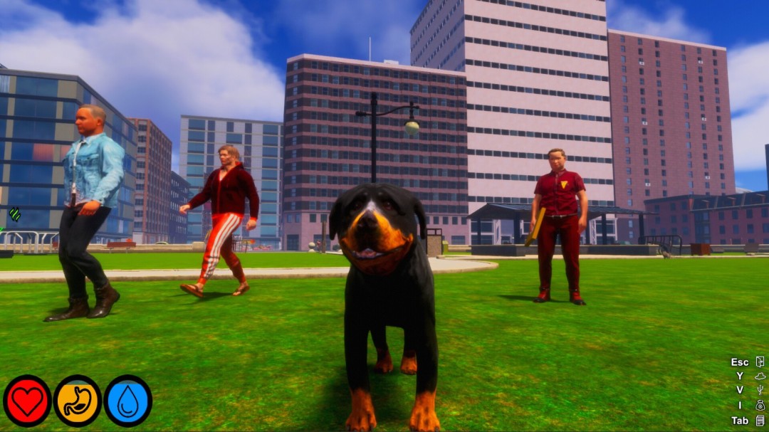 《Lost Paws》官方版