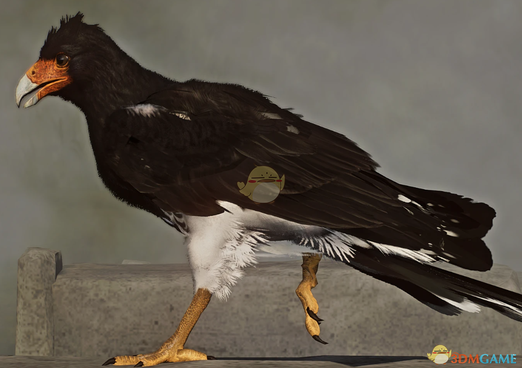 《动物园之星》新物种山地巨隼MOD