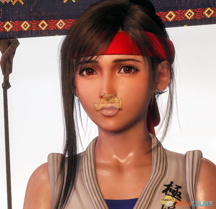 《最终幻想7：重生》蒂法的龙虎之拳坂崎百合格斗装MOD