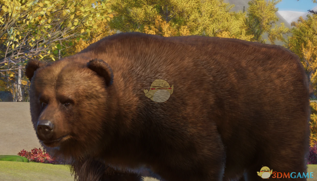 《动物园之星》新物种堪察加棕熊MOD