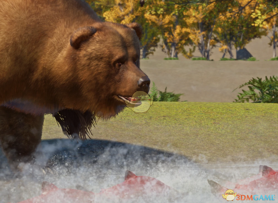 《动物园之星》新物种堪察加棕熊MOD
