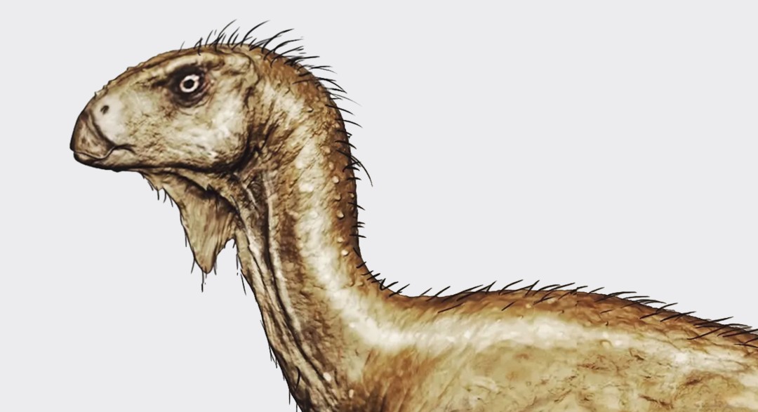 恐龙FPS《蛮荒计划》发售日宣传片 12月5日发售