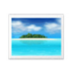 View图片查看器最新版