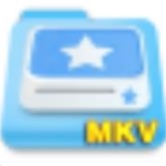  枫叶MKV视频转换器v12.4.2.0