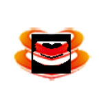 《开票软件快速设置》最新版