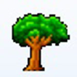 《初中英语听力训练》最新版