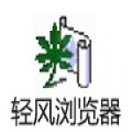 轻风安全浏览器