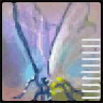 Exif Pilot免费64位版