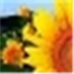 向日葵排课软件官方版