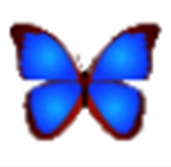 数码照片浏览器(bkViewer)v6.0