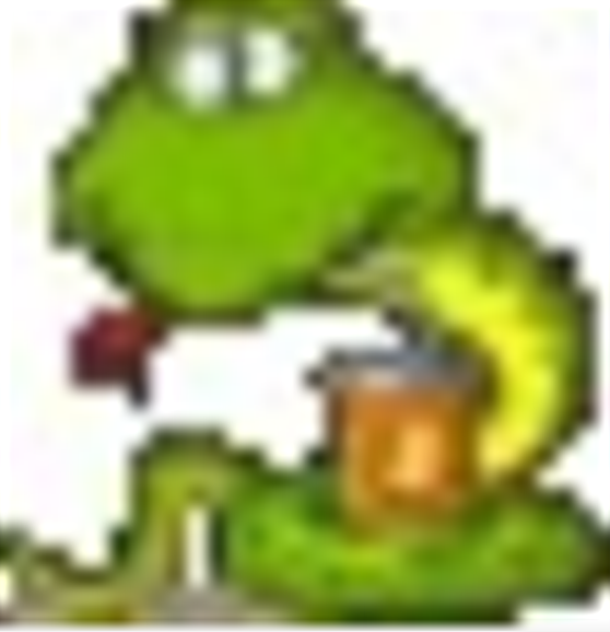 云蛇比赛编排软件v3.310