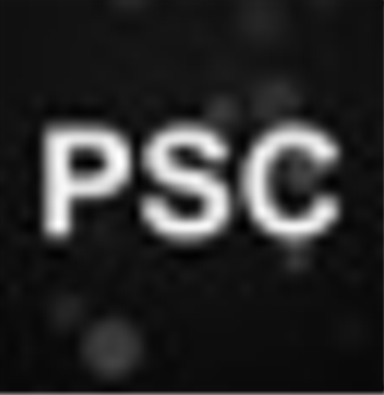 字幕转换助手v5.8.4770