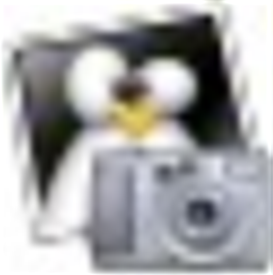 小林QQ相册批量下载器v2014.6