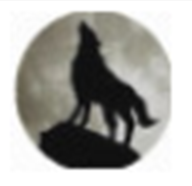 mlang宽带定时拨号器v1.0