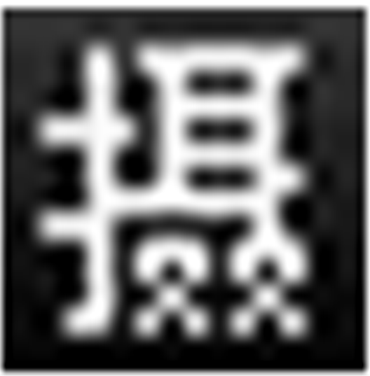 网易摄影图片提取器v2.0