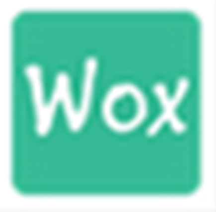 wox(开源快速启动工具)v1.3.578