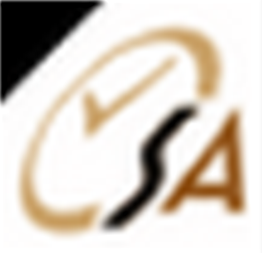 Screen Anytime(服务器监视工具)v4.55