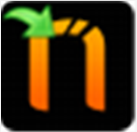 Netsparker(web应用漏洞扫描工具)v4.6.1