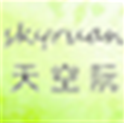 skyruanboy(网络扫描工具)v1.0