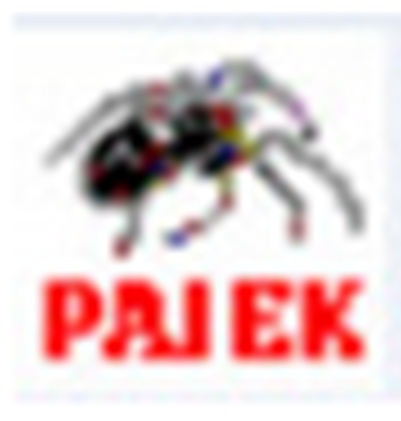 网络分析软件pajekv1.26