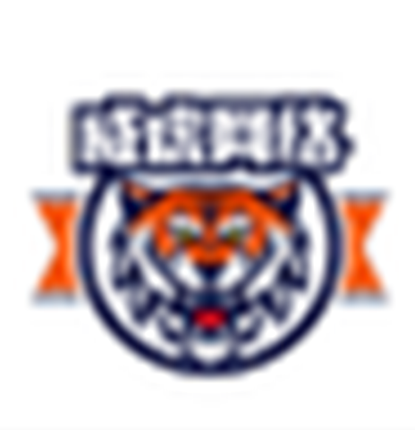 威虎网络在线重装系统工具v20191111