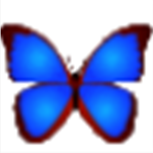 数码照片浏览器(bkViewer)v6.1