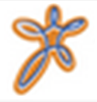 Certisign WebSigner(数字证书签名工具)V2.14.2