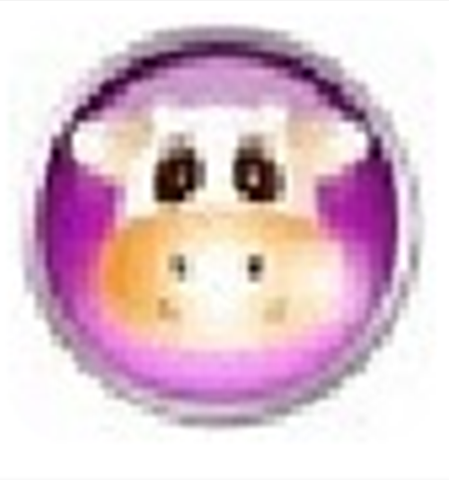 可牛影像官方版v2.7.2.20.01