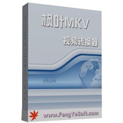 枫叶MKV视频转换器v13.7.0.0
