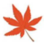 枫叶iPad视频转换器v13.4.0.0