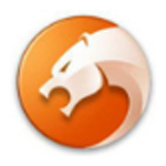 猎豹浏览器最新