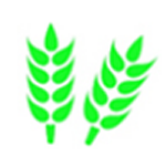 沙狐粮食购销管理系统v1.0