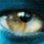 coco图像识别器v1.0