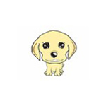 白牙宠物店管理系统