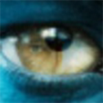 CoCo图像转文字识别工具v1.0.0.1