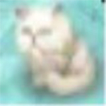 云宝贝定时提醒v1.40