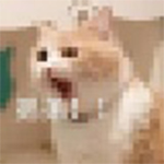 一只短短工具箱v1.0