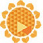 向日葵被控端v10.3.0.27372