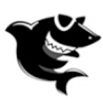 黑鲨装机大师v12.8.50.2000