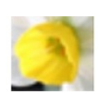 阿卢国际音标v1.1.4.237