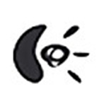 商务高清摄像头PTZ Pro驱动V1.1.219