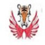 飞虎全尺寸量测系统v1.0