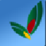 易达车辆运输财务结算管理软件v32.0.6