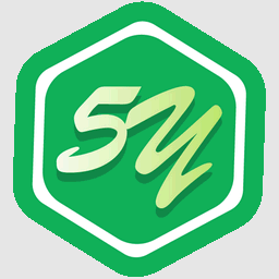 5Y浏览器32位1.00