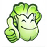 大白菜64位6.0.2311.15