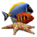 热带鱼水族箱屏保3.3