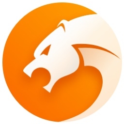 猎豹浏览器9.0.112.22613