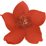 小红花音效助手电脑版