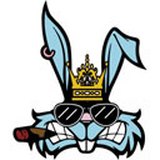 系统兔一键安装系统电脑版